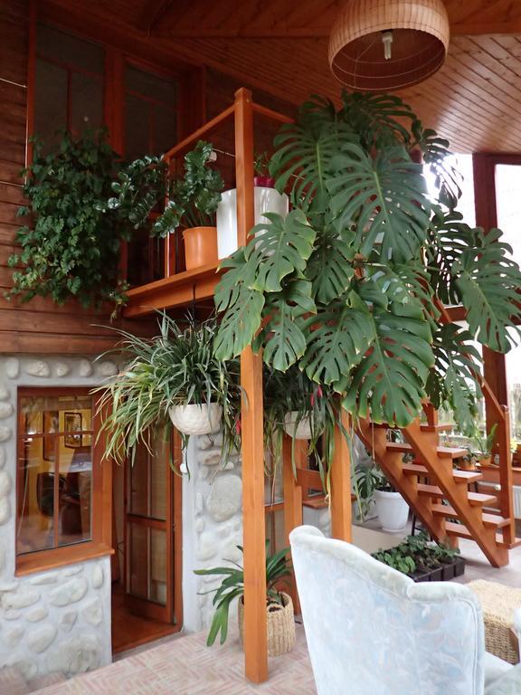 Family House - Apartmany Zuzana Stará Lesná 客房 照片